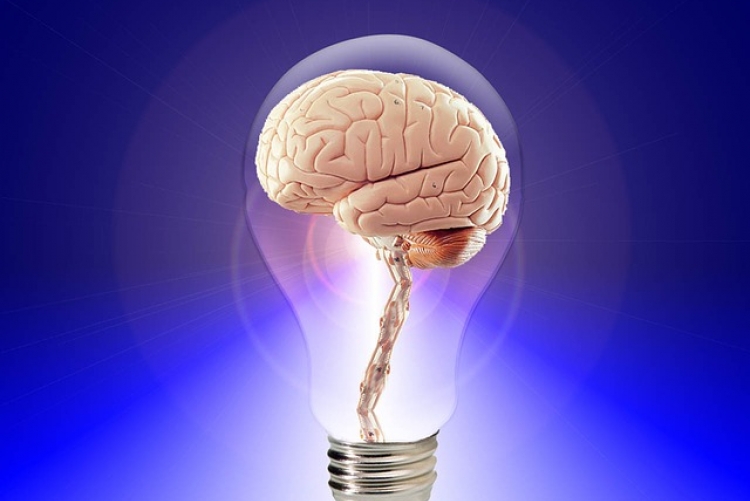 Imagem ilustrativa sobre inteligência