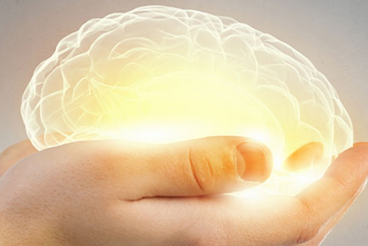 Saúde mental é foco de projetos da UFF.
