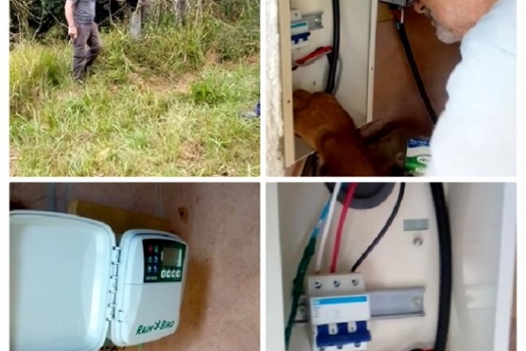 Manutenção elétrica, em 20/07/2022, na Fazenda Escola da Faculdade de Veterinária em Cachoeiras de Macacu.