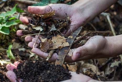 Compostagem, início da produção de adubo