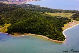 praias e mata em redor vistas de cima