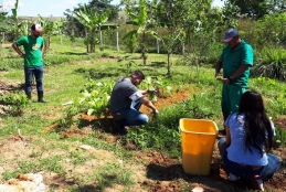 Funcionários da jardinagem, estudantes e docentes na horta em Pádua 