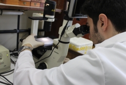 Homem em laboratório de pesquisa