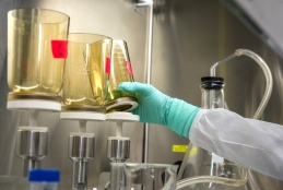 Mão com luva manipula frasco de laboratório