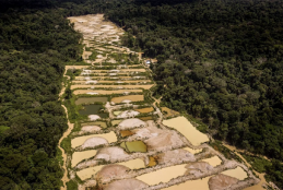 território de garimpo cercado por uma densa mata verde
