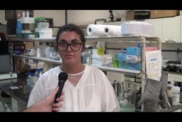  Pesquisa e Extensão no Laboratório de Bacteriologia Veterinária - LABV UFF.
